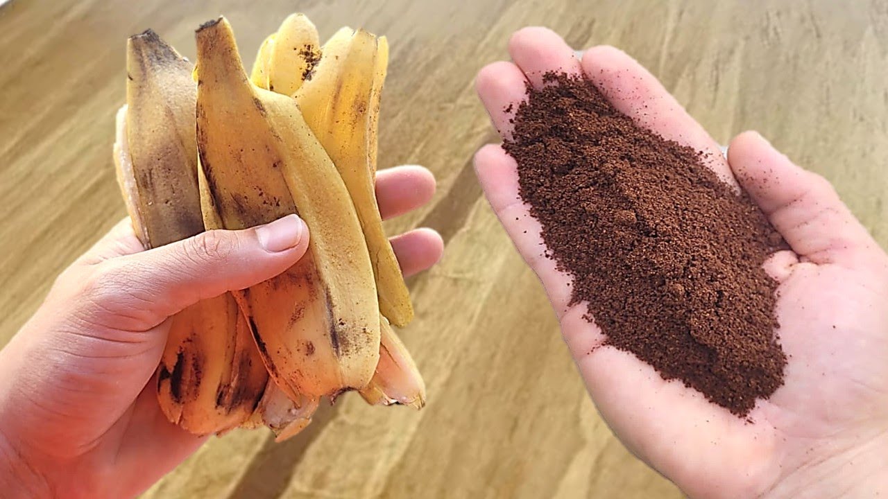 Just Blend Banana with Coffee and Save Money at the Store!