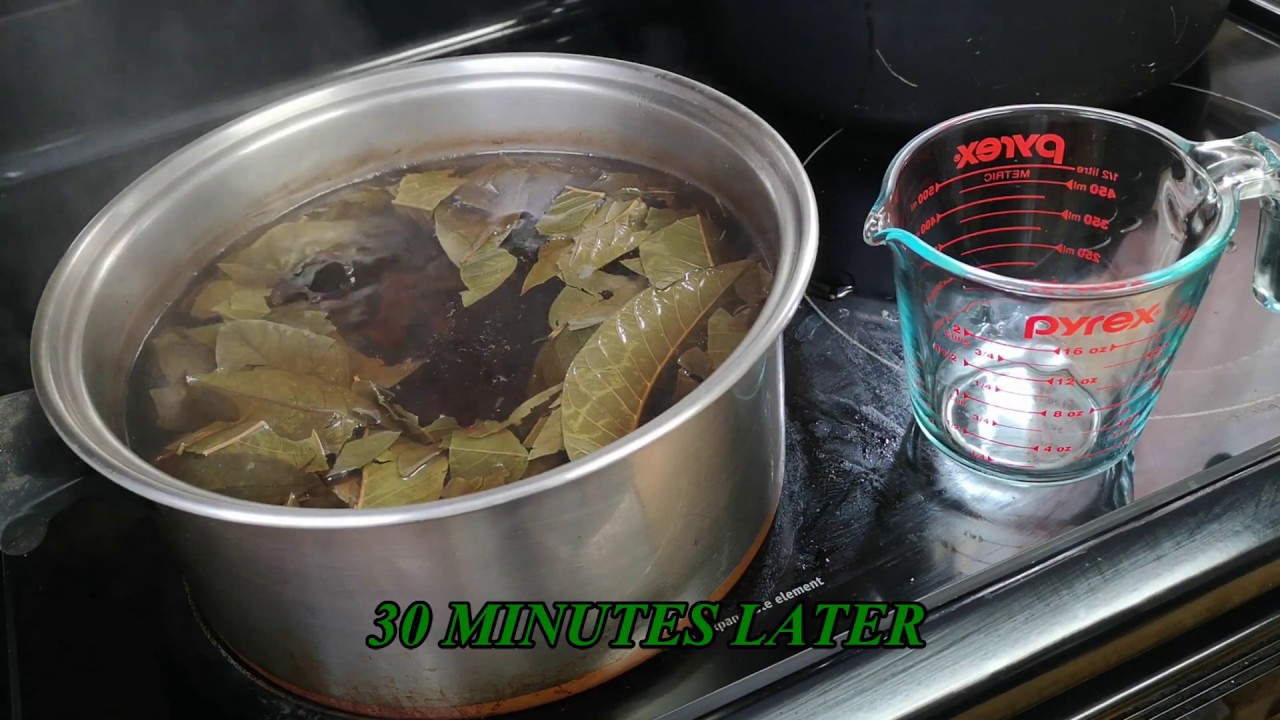 Guava Leaf Tea: How I Prepare This Refreshing Beverage