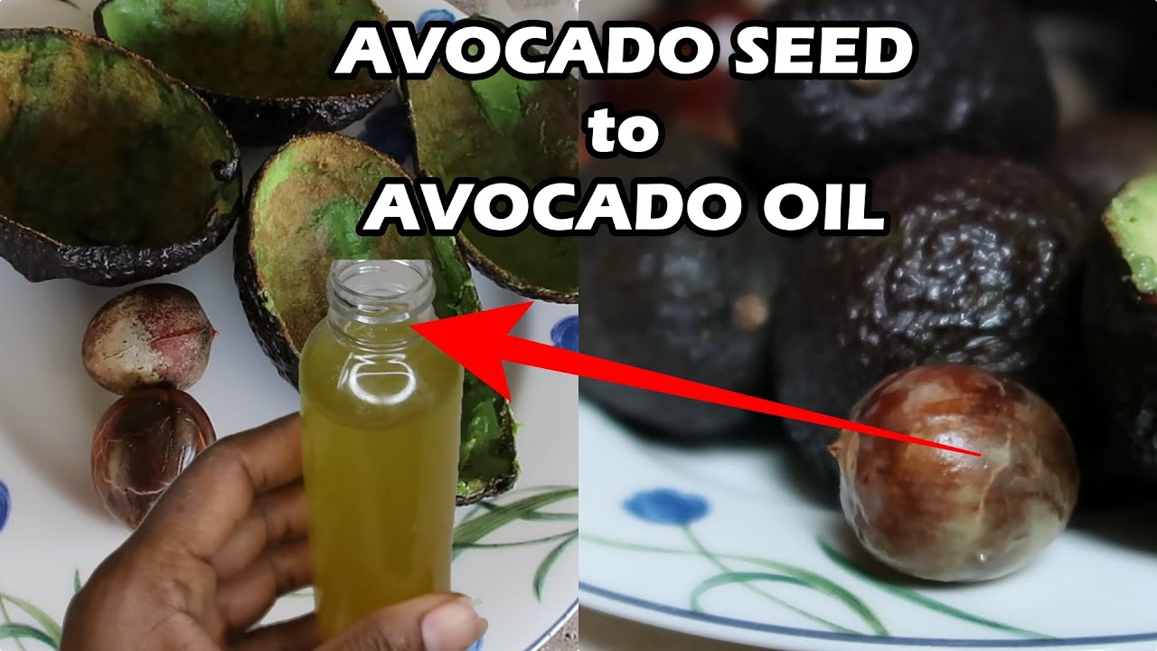 How to Make Avocado Oil from Avocado Seed and Skin for Natural Hair Growth