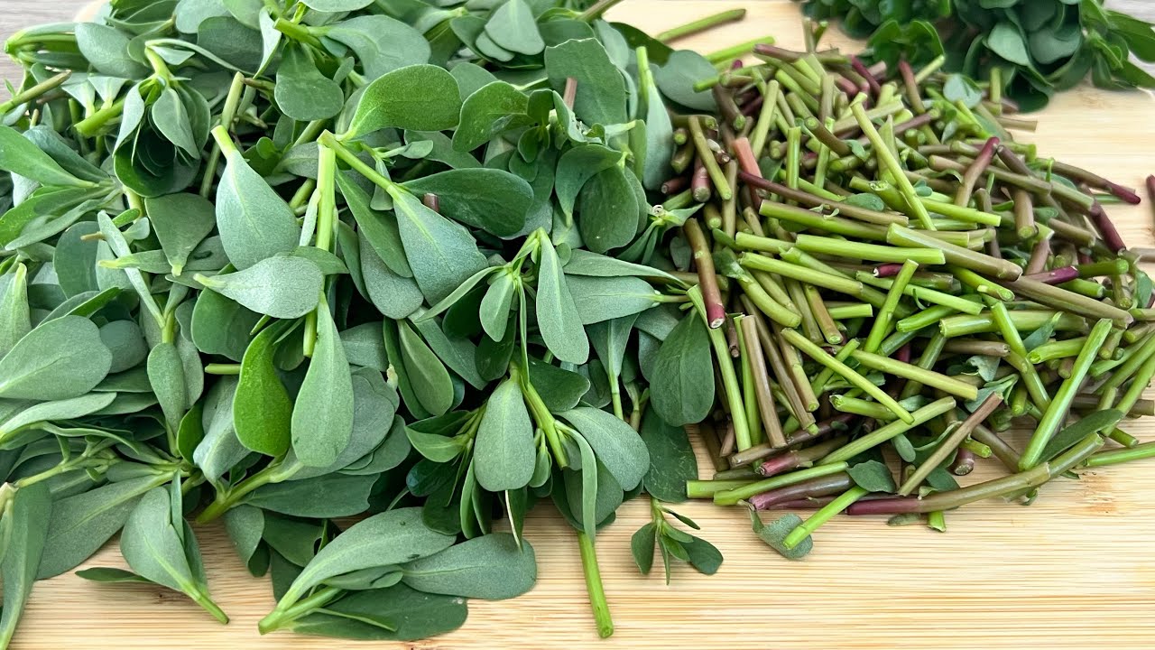 Delight in the Simplicity of Cooking Purslane: A Recipe You’ll Love