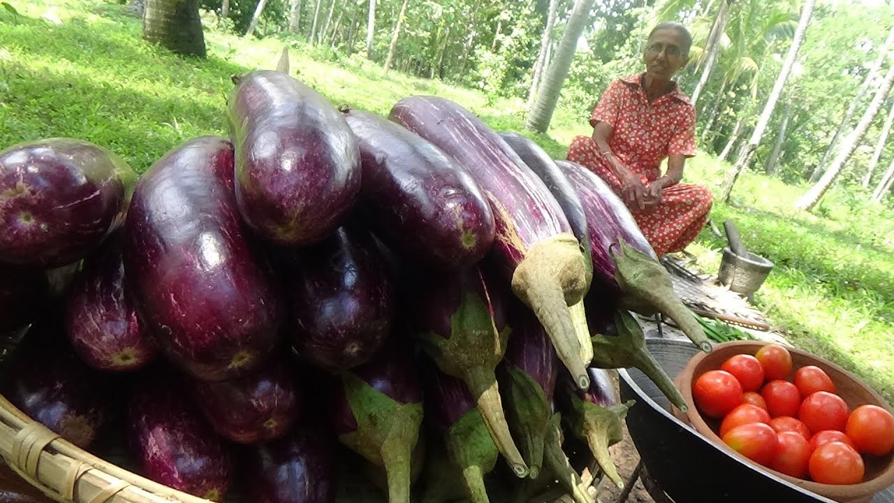 A Delightful Eggplant Recipe: Simple Steps to a Perfect Dish