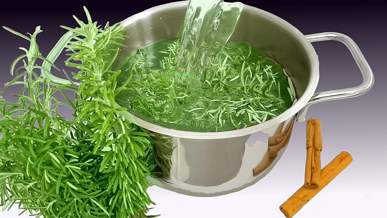 Discover the Treasure of Rosemary: Say Goodbye to Varicose Veins and Shed Some Pounds!