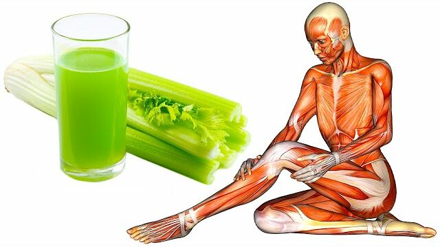 The Benefits of Starting Your Day with Celery Juice