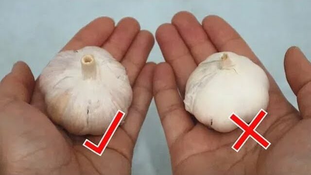 Be Selective with Your Garlic: Avoid These 2 Types at the Grocery Store for Better Health