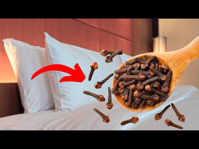 A Sprinkle of Cloves: Bringing Magic into Your Bedroom