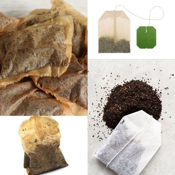 Discover the Surprising Benefits of Used Tea Bags