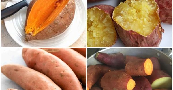 What Takes Place When You Consistently Eat Sweet Potatoes