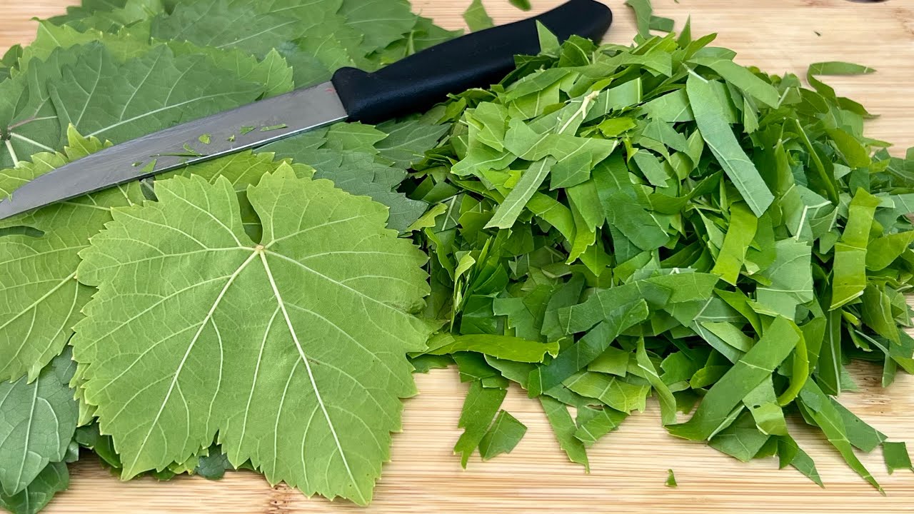 Discover the Delights of Cooking with Grape Leaves: A Legendary Recipe