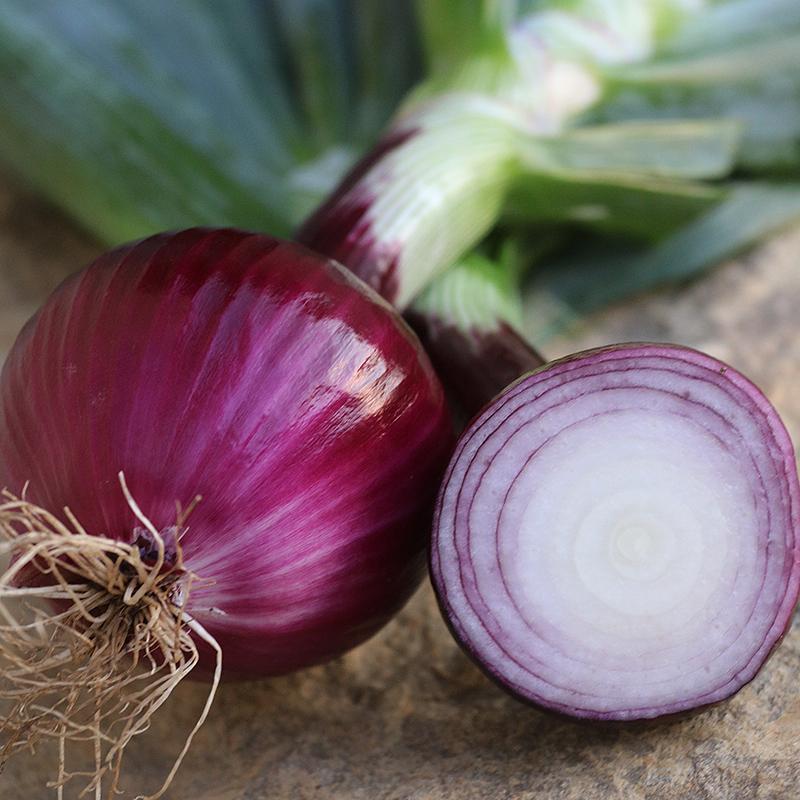 The Surprising Benefits of Eating Onions Every Day