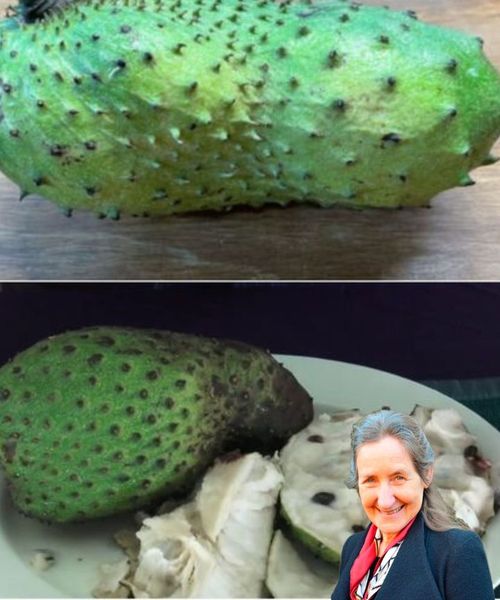 Enjoying Soursop: A Guide to Eating This Tropical Delight