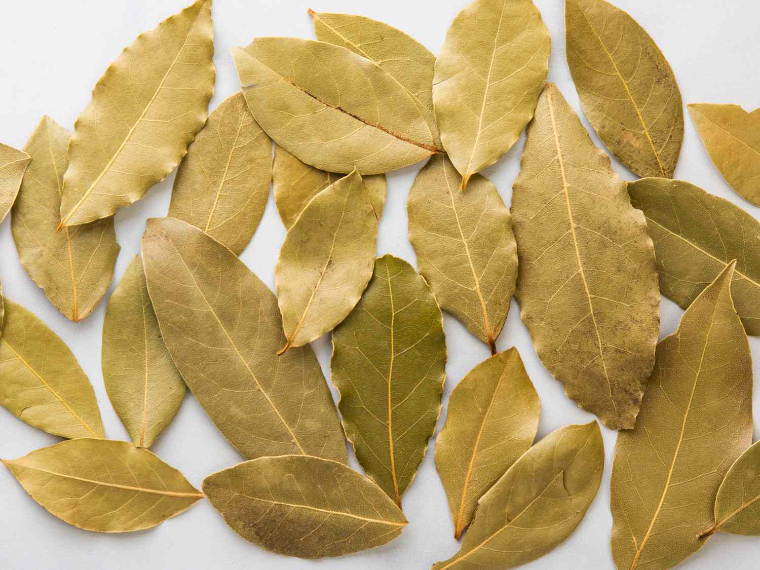 Discover the Wonders of Bay Leaves: A Natural Remedy for Everyday Ailments