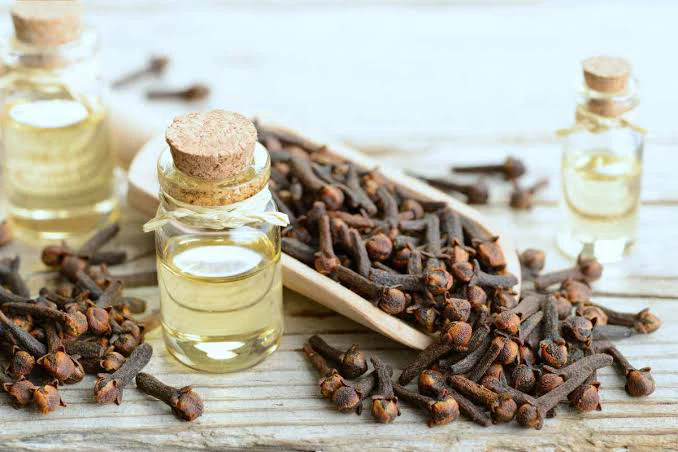 Unlock the Secret to Long, Luscious Locks with DIY Clove Oil