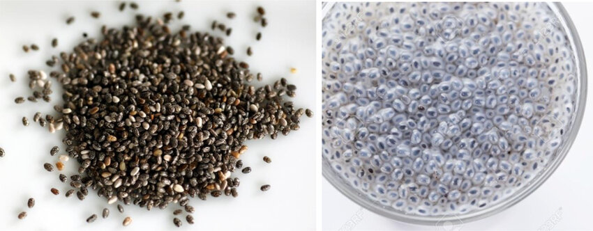 Chia Seeds: Busting Myths About What They Are Not