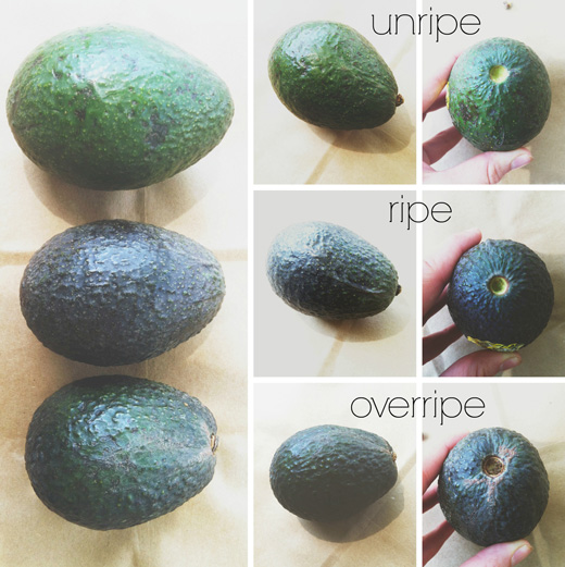 How to Pick the Perfect Avocado: A Simple Guide