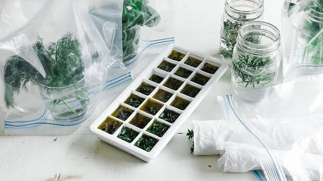 Keeping Your Fresh Herbs Vibrant: Tips for Storing and Preserving