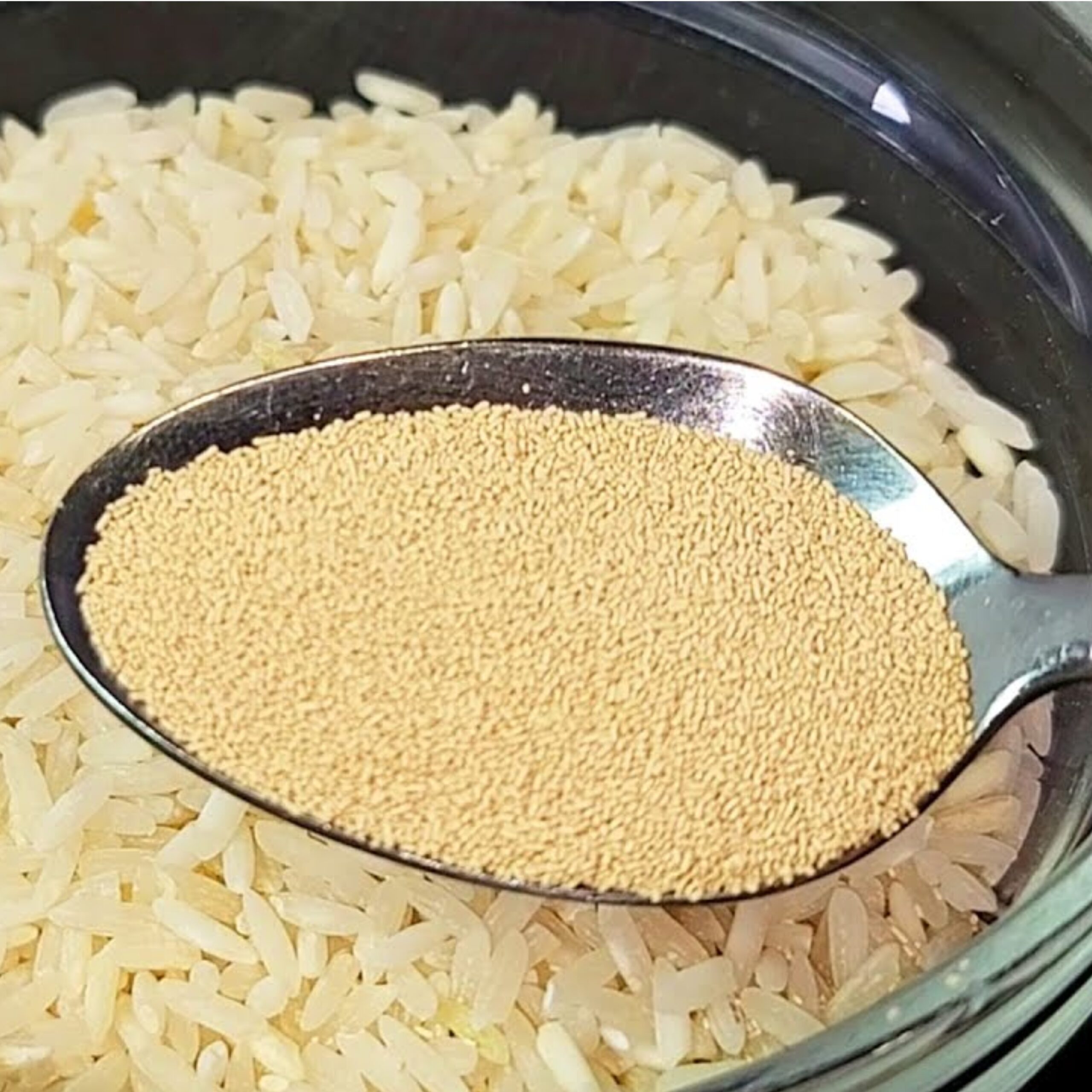 The Surprising Benefits of Mixing Yeast with Rice