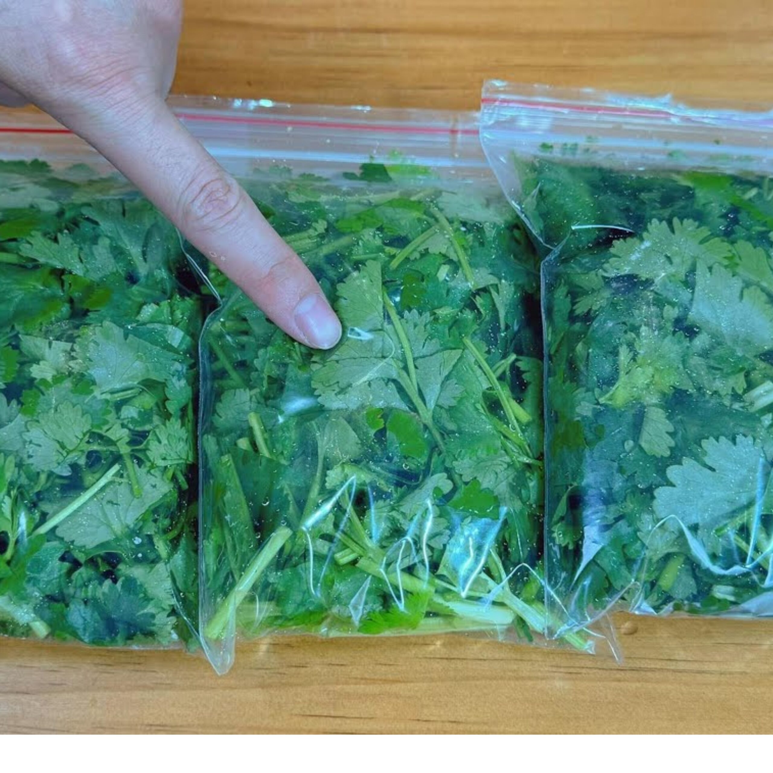 Keep Coriander Fresh All Year Long: A Simple Preservation Trick