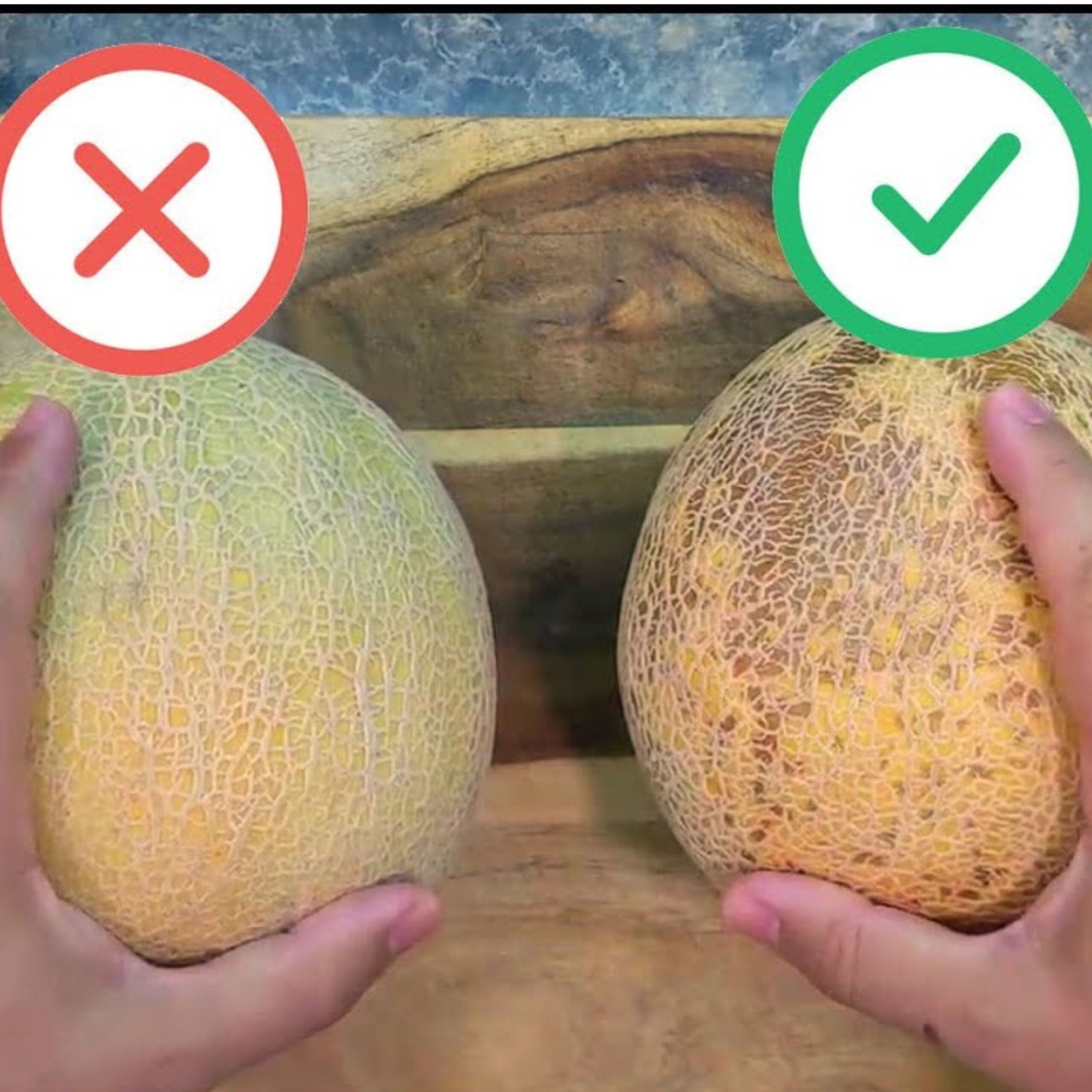 The Art of Picking and Preparing a Sweet and Juicy Cantaloupe