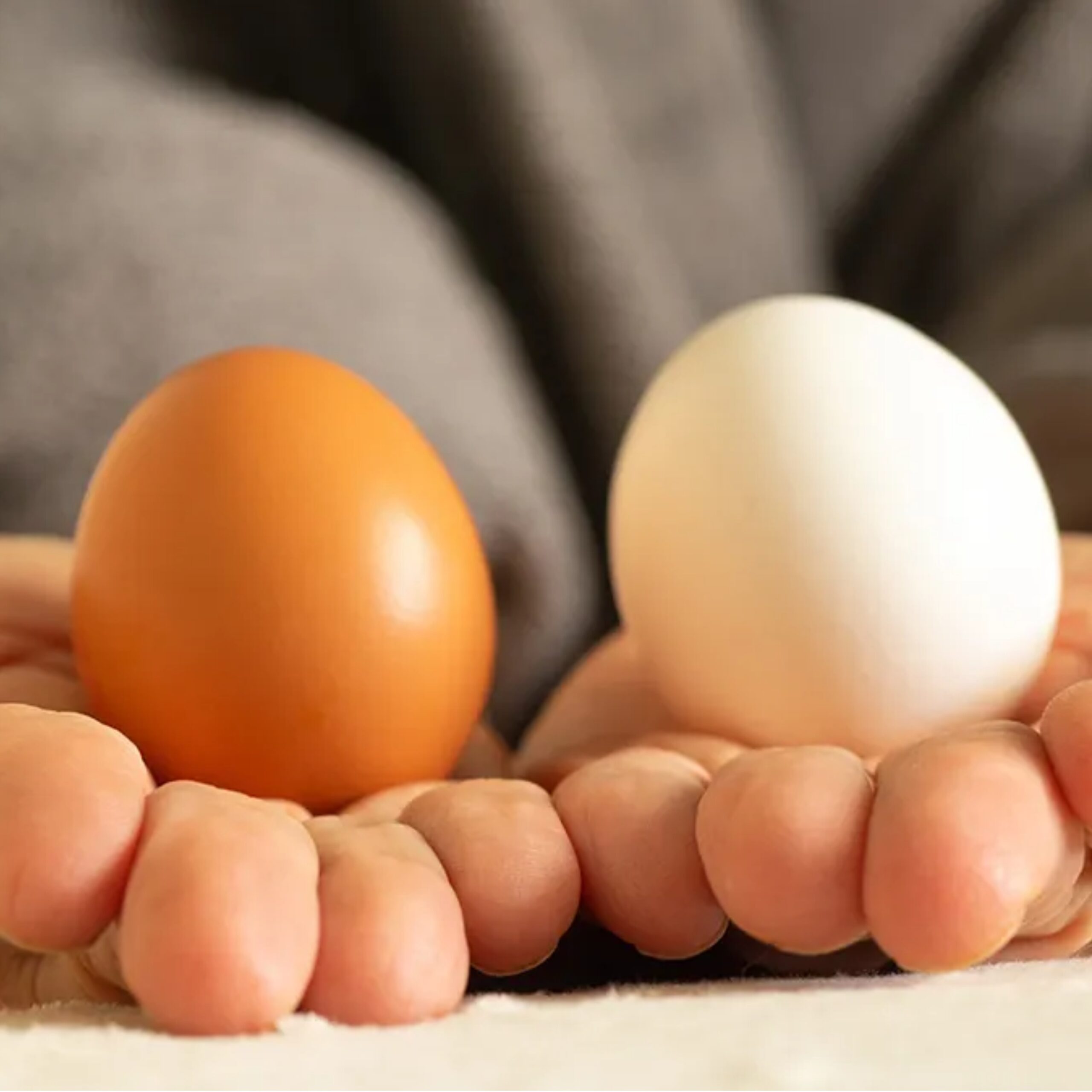 Brown Eggs vs. White Eggs: Which Are Healthier?