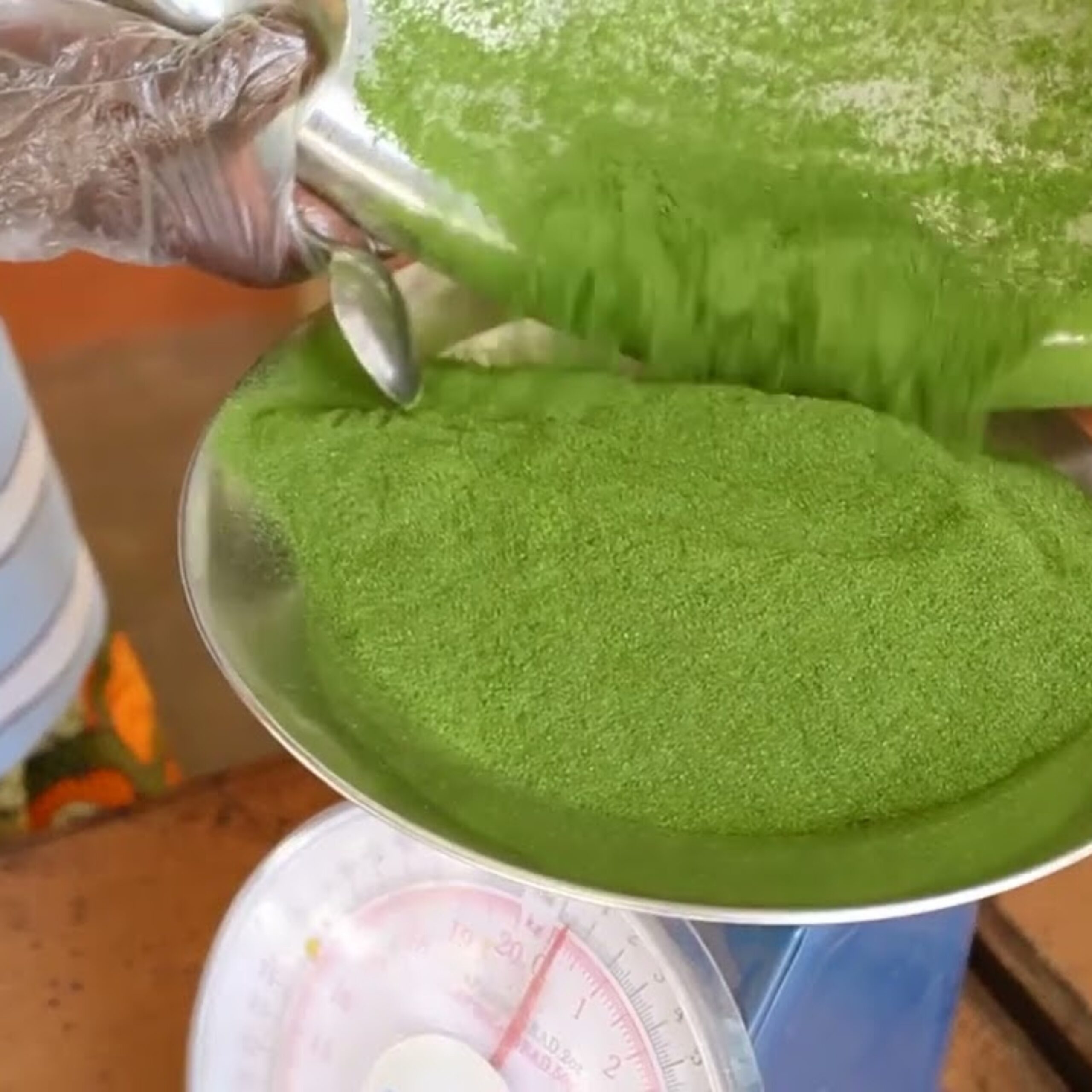 A Simple Guide to Making Your Own Moringa Oil