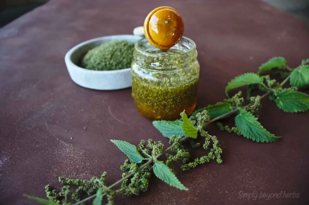 Nettle Seeds and Honey – Natural Medicine for Anemia and Strengthening Immunity