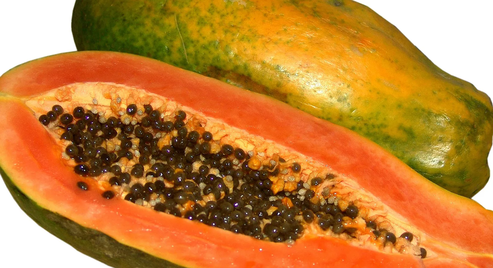 Exploring the Remarkable Health Benefits of Papaya Seeds