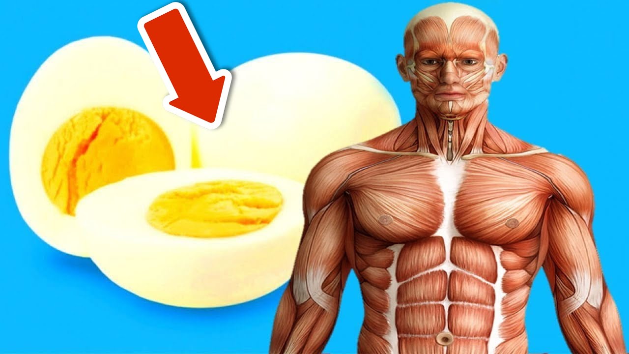 What Really Happens When You Eat Two Eggs Every Morning for a Month?