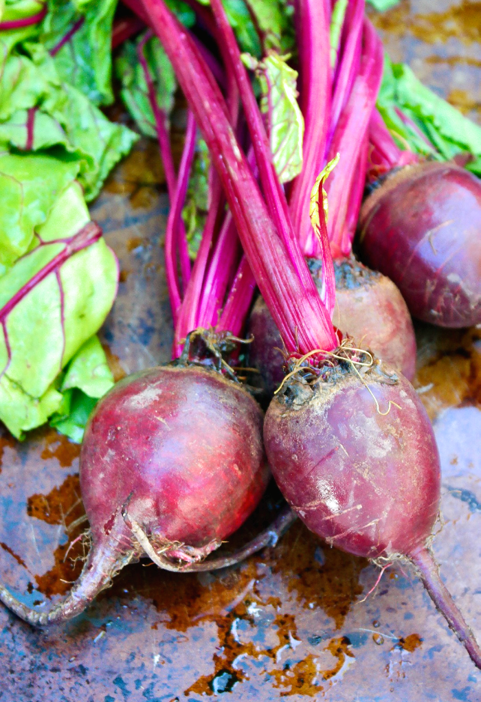 Beets 101: Discover the Wonderful World of Beets