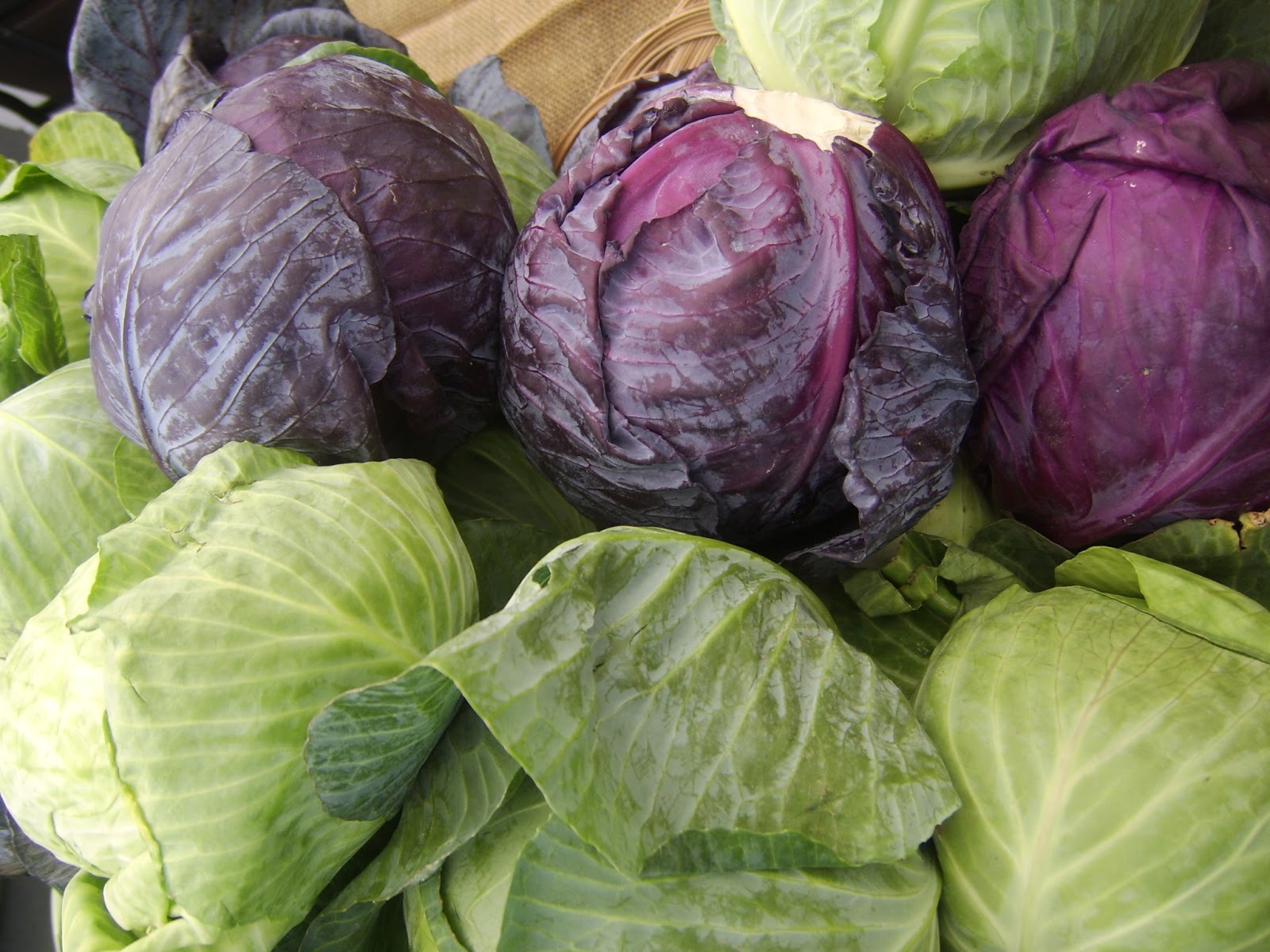 Red vs. Green Cabbage: Which is Healthier?