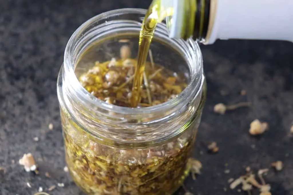 Doctors in Shock! Heal Your Whole Body from Head to Toe with Chamomile Oil (Only 1 Use Per Day)