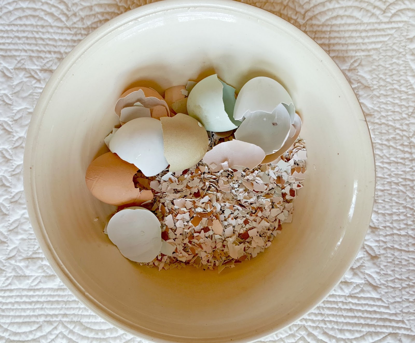 Discover the Surprising Uses for Eggshells Around Your Home