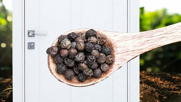 Surprising Uses for Black Pepper: More Than Just for Seasoning