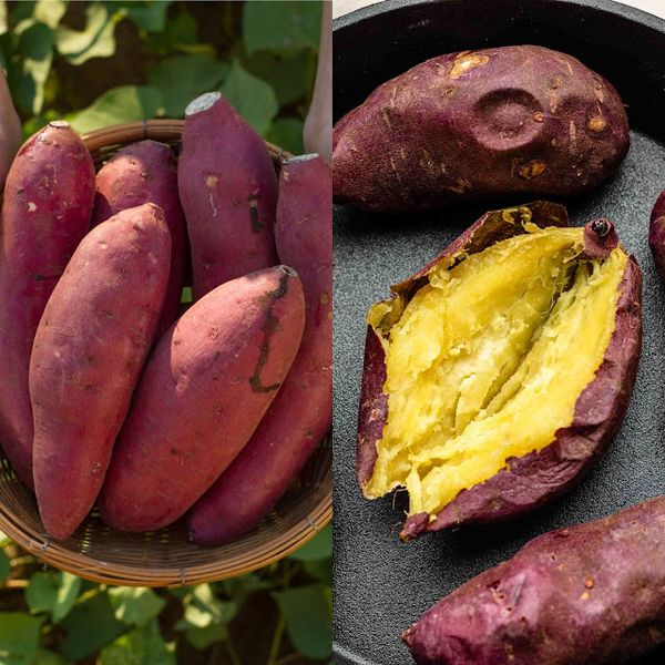 Unveiling the Culinary Wonders of Sweet Potatoes: Your Kitchen’s Secret Treasure!