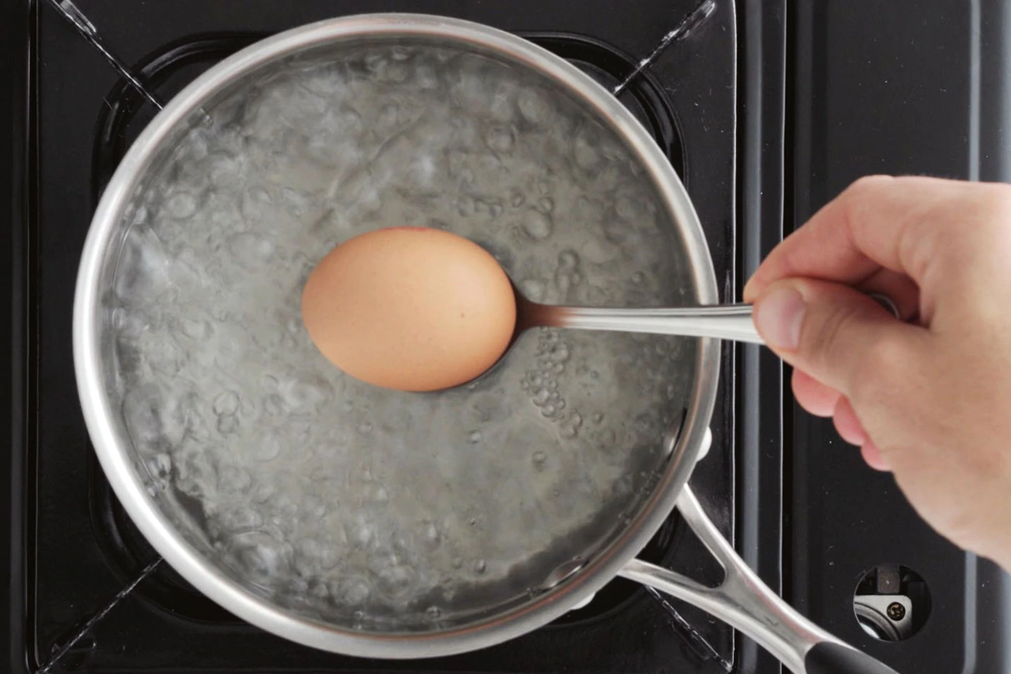 Just 1 Egg! Properly Boiled! It Will Work Wonders in Your Life!