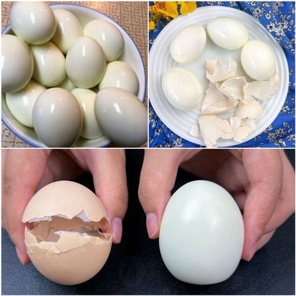 Boiling Eggs Made Easy: Flawless Results Every Time