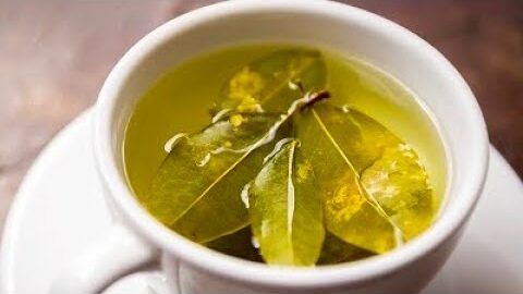 Discover the Surprising Benefits of Boiling Bay Leaves and Drinking the Liquid