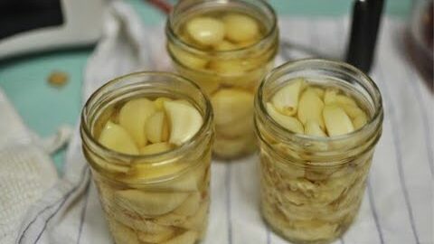 Savor the Surprising Benefits of Garlic Water: How to Make It at Home