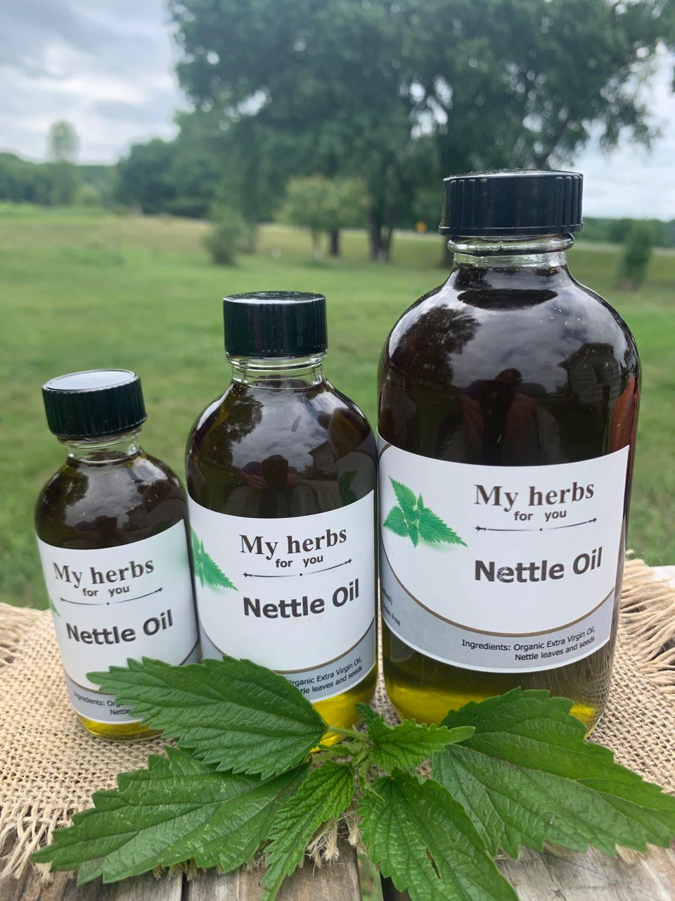 Discover the Benefits of Nettle Infused Oil for Bone and Joint Pain