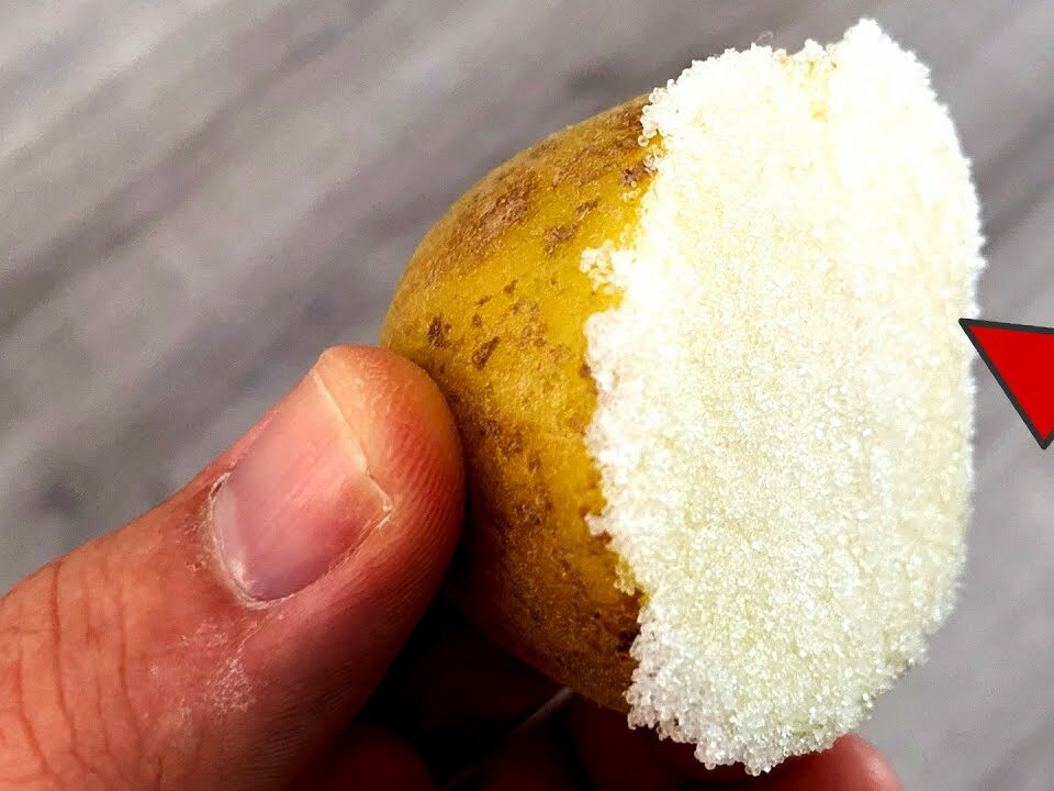 PRESS the POTATO in SALT for THIS Cleaning Trick 💥 (Surprising) 🤯