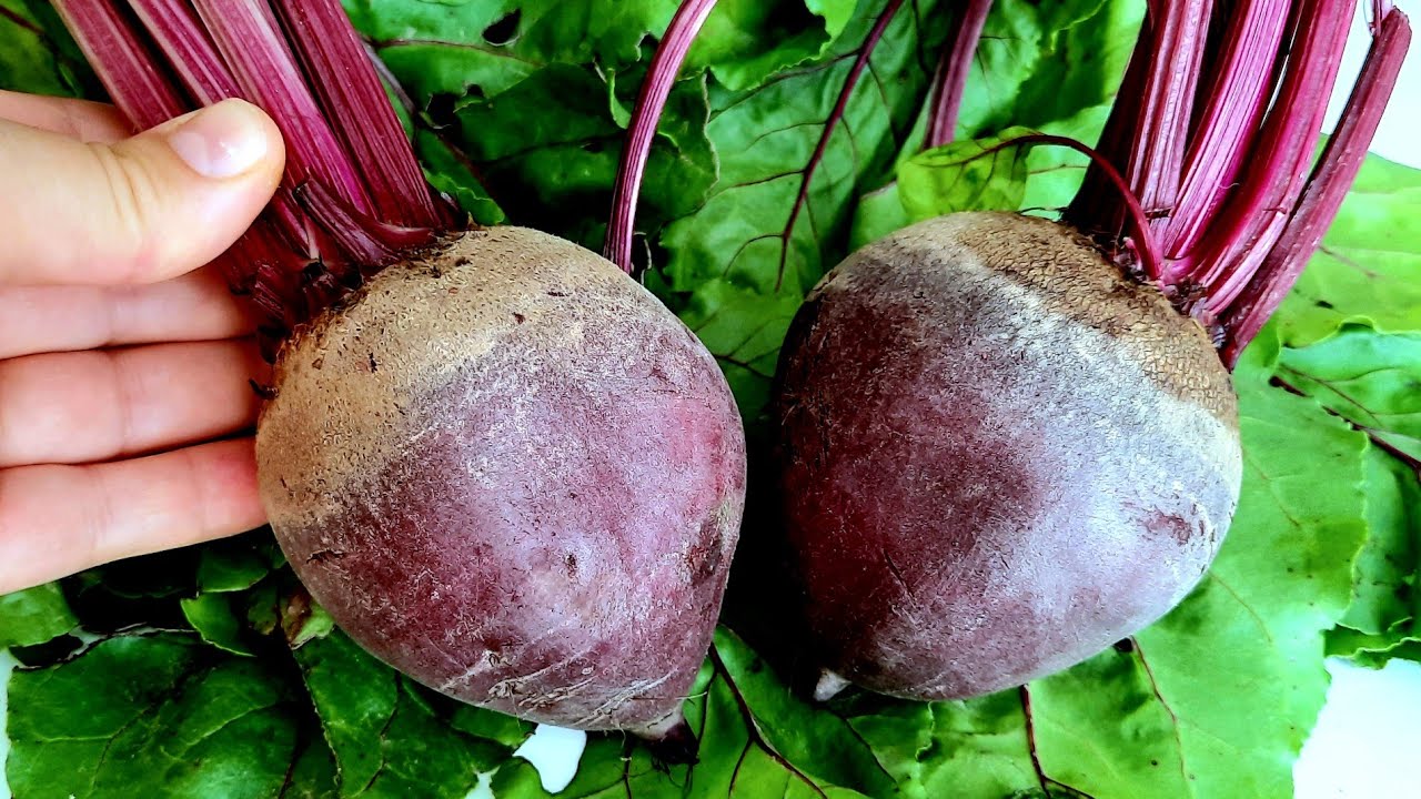 The Secret’s Out: A Miracle Recipe with Red Beets