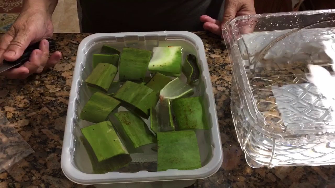 How to Prepare Aloe Leaves for Edible Use and Freezing