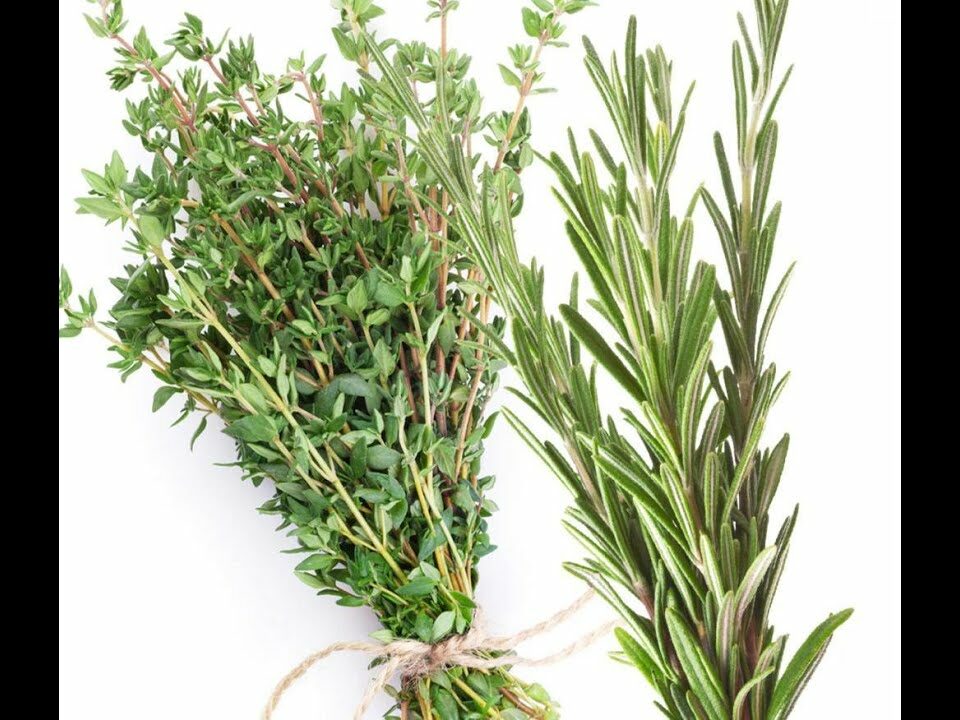 Discovering the Powerful Health Benefits of Thyme and Rosemary