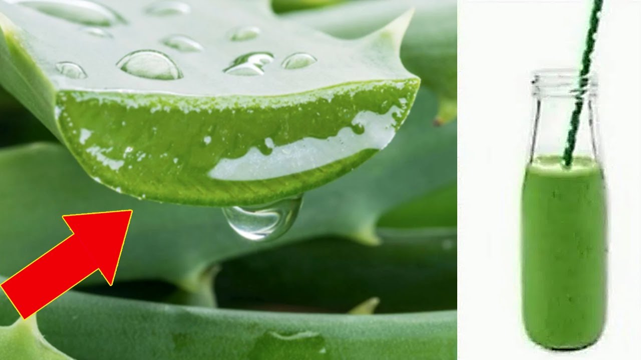 The Wonders of Aloe Vera: A Natural Tonic for a Healthier You