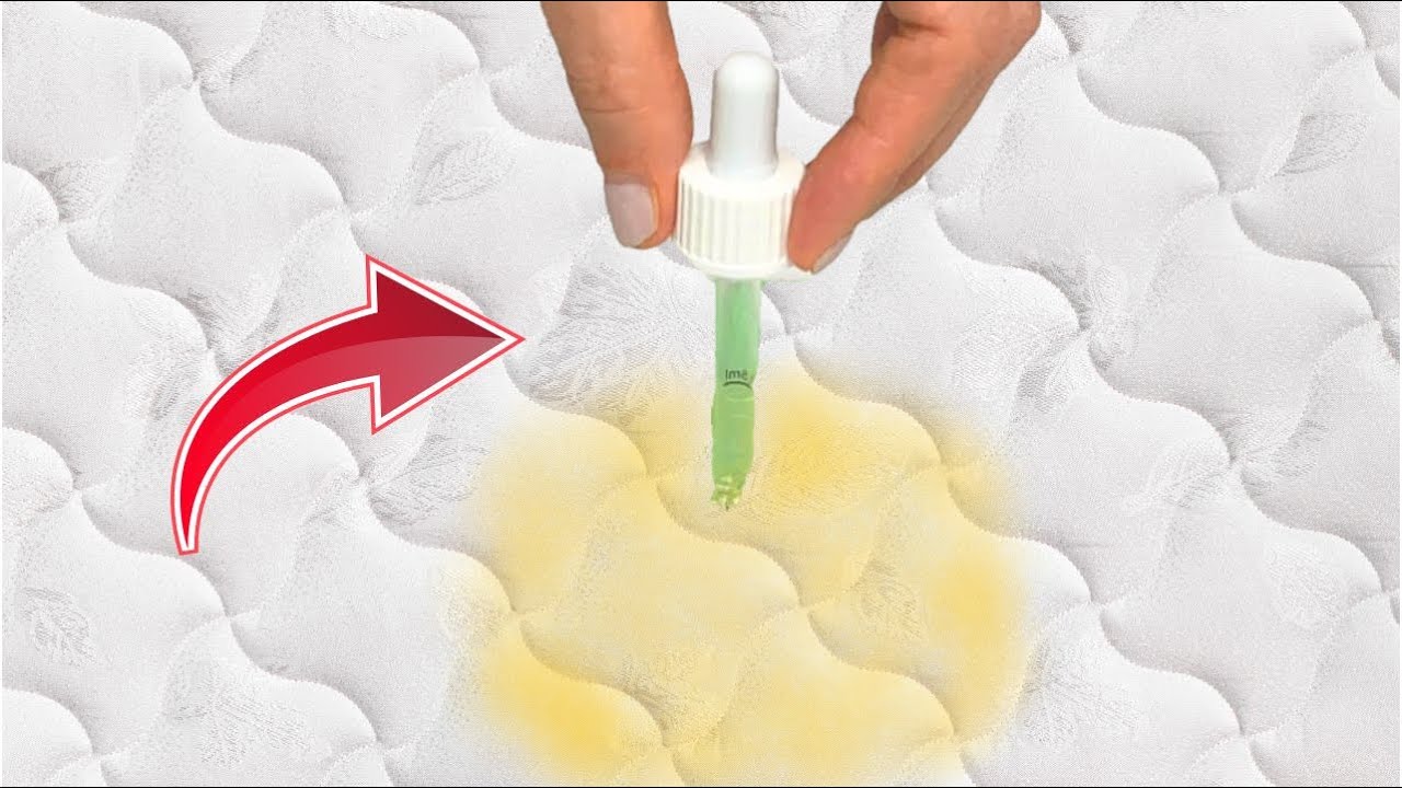 Eliminate Urine Stains Forever with Just One Ingredient: White Vinegar