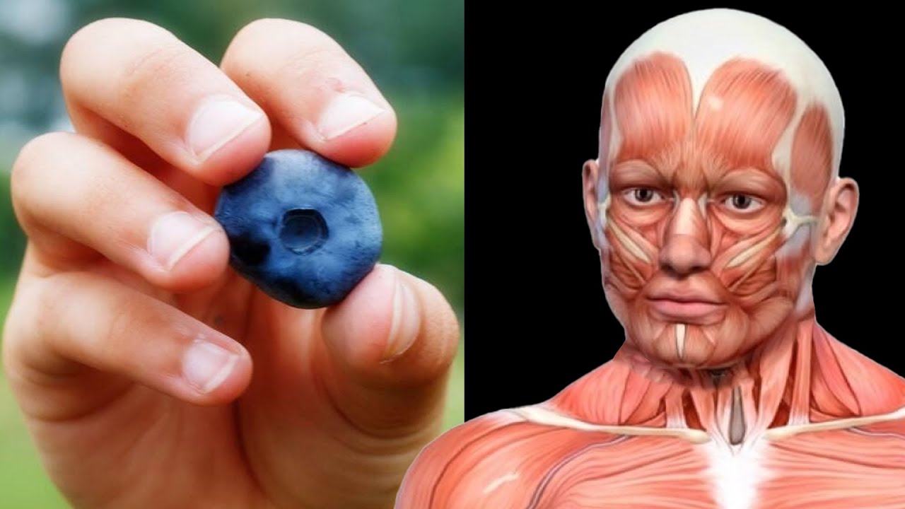 Daily Dose of Delight: The Marvelous Benefits of Eating Blueberries Everyday