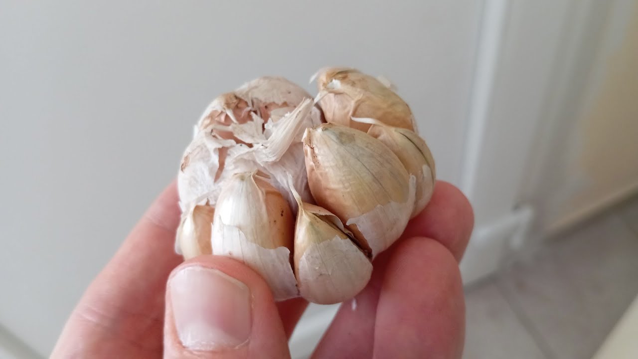 The Wonders of Sprinkling Garlic Outside Your Door