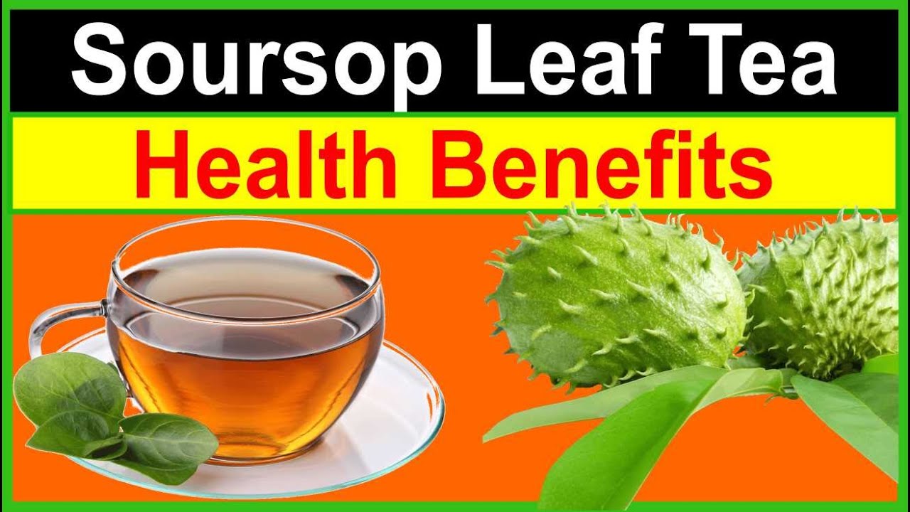 Exploring the Benefits of Soursop Leaf Tea: Why You Should Try It