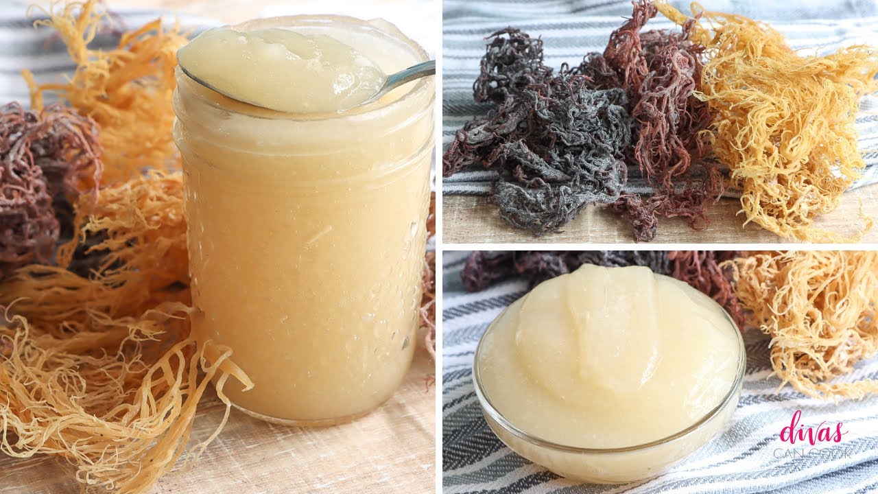 How to Make Sea Moss Gel in 3 Easy Steps