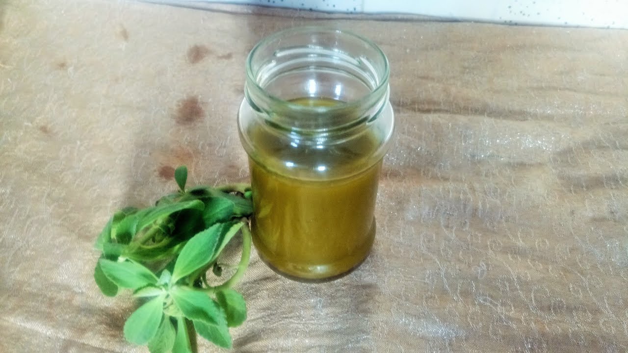 Crafting Your Own Oregano Oil at Home