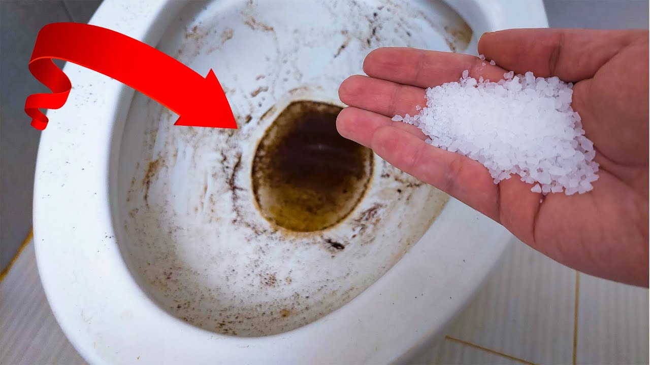 Toss a Pinch of Salt into Your Toilet and Witness the Surprising Effects!